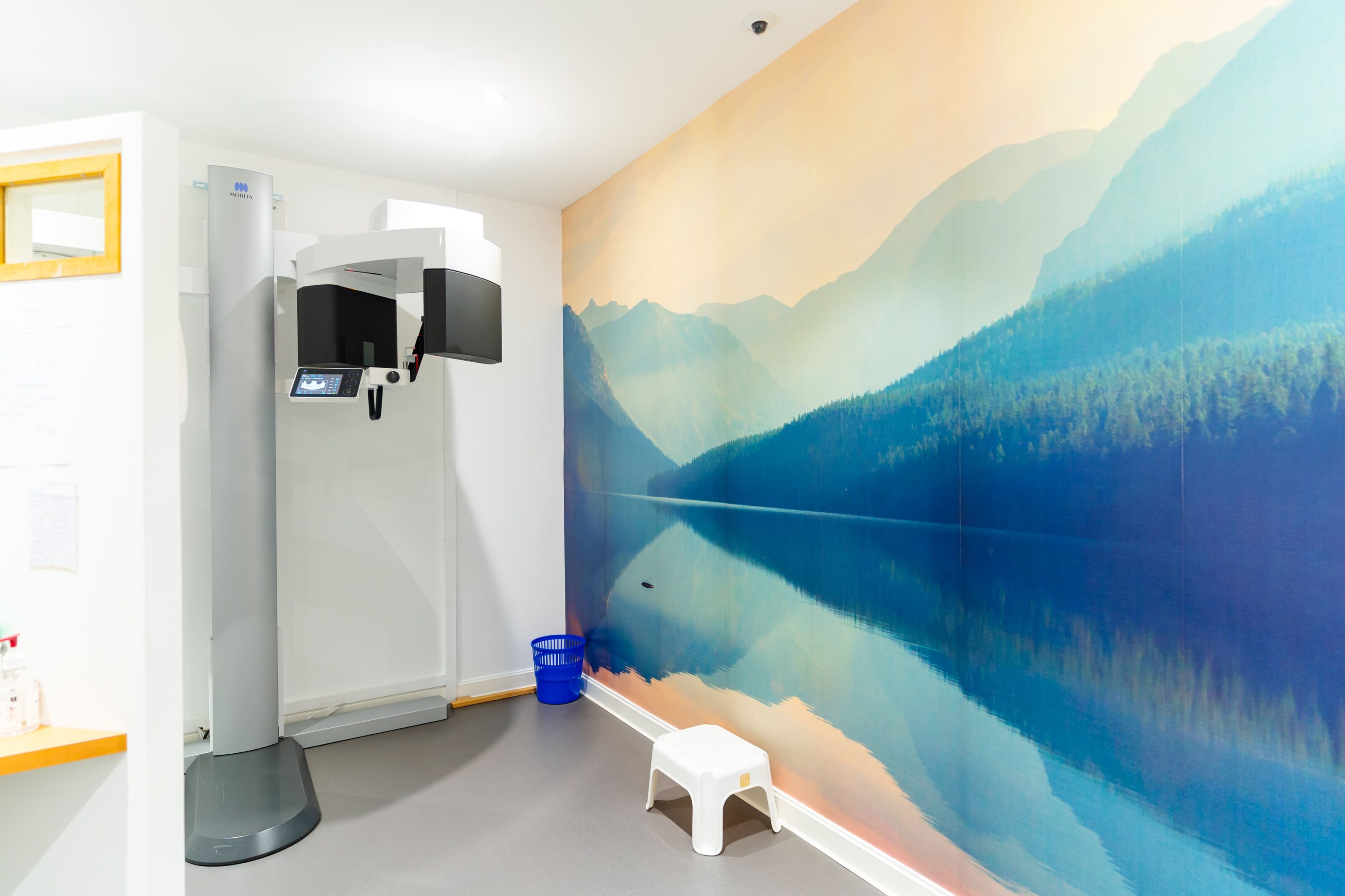 Salle de radiologie avec fresque murale de lac de montagne